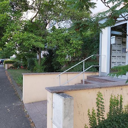 Le Marcellin Colmar - Garage - Terrasse Exterior foto