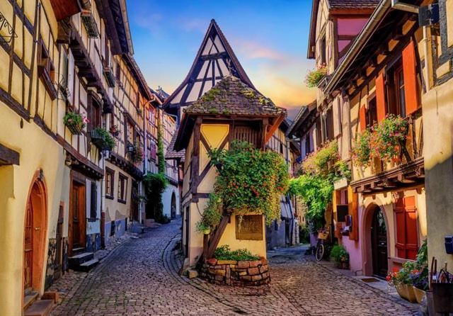 Le Marcellin Colmar - Garage - Terrasse Exterior foto
